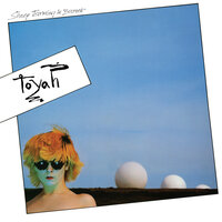Bird In Flight - Toyah