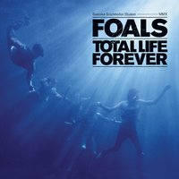 TLF 2 - Foals
