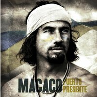 Árbol torcío - Macaco