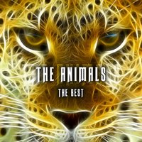 Outcast - The Animals