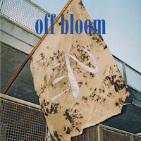 Marie - Off Bloom
