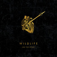 Bad Dream - Wildlife