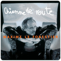 Cicatrices - Maxime Le Forestier