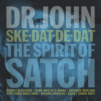 When You’re Smiling (The Whole World Smiles With You) - Dr. John, The Dirty Dozen Brass Band