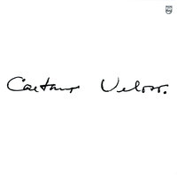 The Empty Boat - Caetano Veloso
