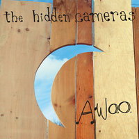 For Fun - The Hidden Cameras