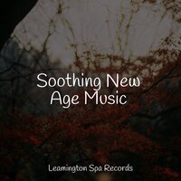 Relaxation - Entspannungsmusik Oase, Nature Sound Series, Meditação Yoga