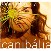 Cinco meninos - Daniela Mercury