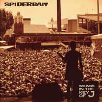 Riffer - Spiderbait