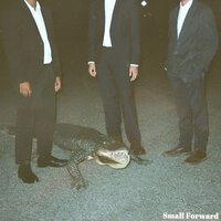 Delicate Days - Small Forward