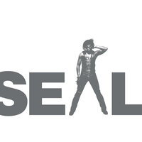 Hide - Seal
