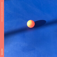 Sun Tan - Wallows