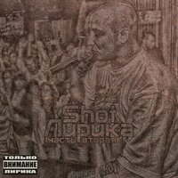 В Сети - Shot