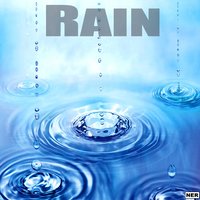 Babbling Brook - Rain