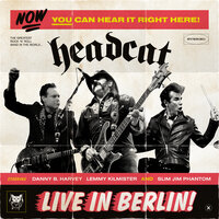 Eagle Flies On Friday - HeadCat