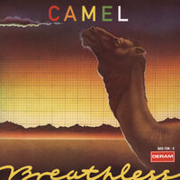 Echoes - Camel