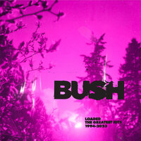 Swallowed - Bush