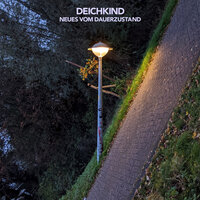 Drucker - Deichkind, Drunken Masters