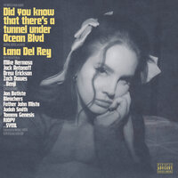 Did you know that there's a tunnel under Ocean Blvd - Lana Del Rey