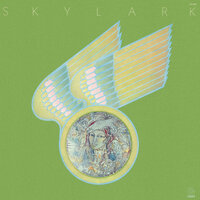 Wildflower - Skylark