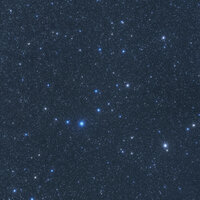 CARAMELLE - Ariete
