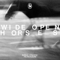Never gone - James Vincent McMorrow