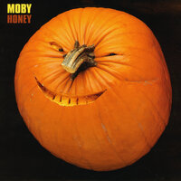 Honey - Moby