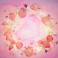 Gone - Emily Yacina