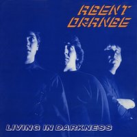 The Last Goodbye - Agent Orange