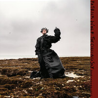 Empress - Patrick Wolf