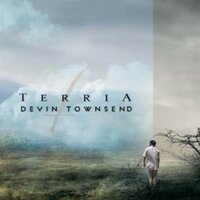 The Fluke - Devin Townsend