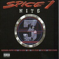 Can’t Turn Back - Spice 1