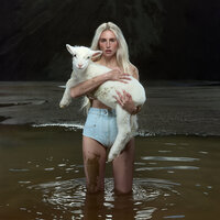 Wild Things - Laurel