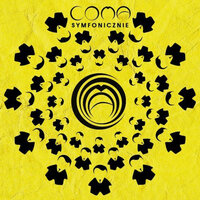 Spadam - Coma
