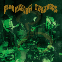 Let It All Pass - Dead Meadow