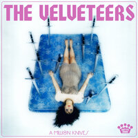 Up Here - The Velveteers