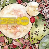 Tarpit Carnivore - Torche
