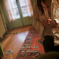 Bliss Like This - Ani DiFranco