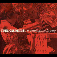 Compatible - The Gamits