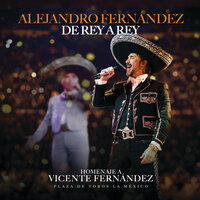 Un Millón de Primaveras (En Vivo Desde La Plaza de Toros La México, 2024) - Alejandro Fernandez