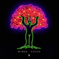 Curious - Wiwek