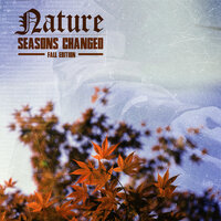Miracle - NATURE