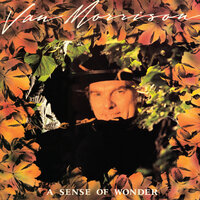 If You Only Knew - Van Morrison