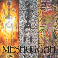 Future Breed Machine - Meshuggah