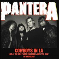 Domination - Pantera
