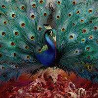 Will o the Wisp - Opeth