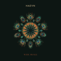 One Day - HAEVN