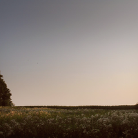 Cavalcade - Goldmund