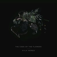 Drive by Fires - Ayla Nereo
