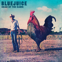 Medication - Bluejuice